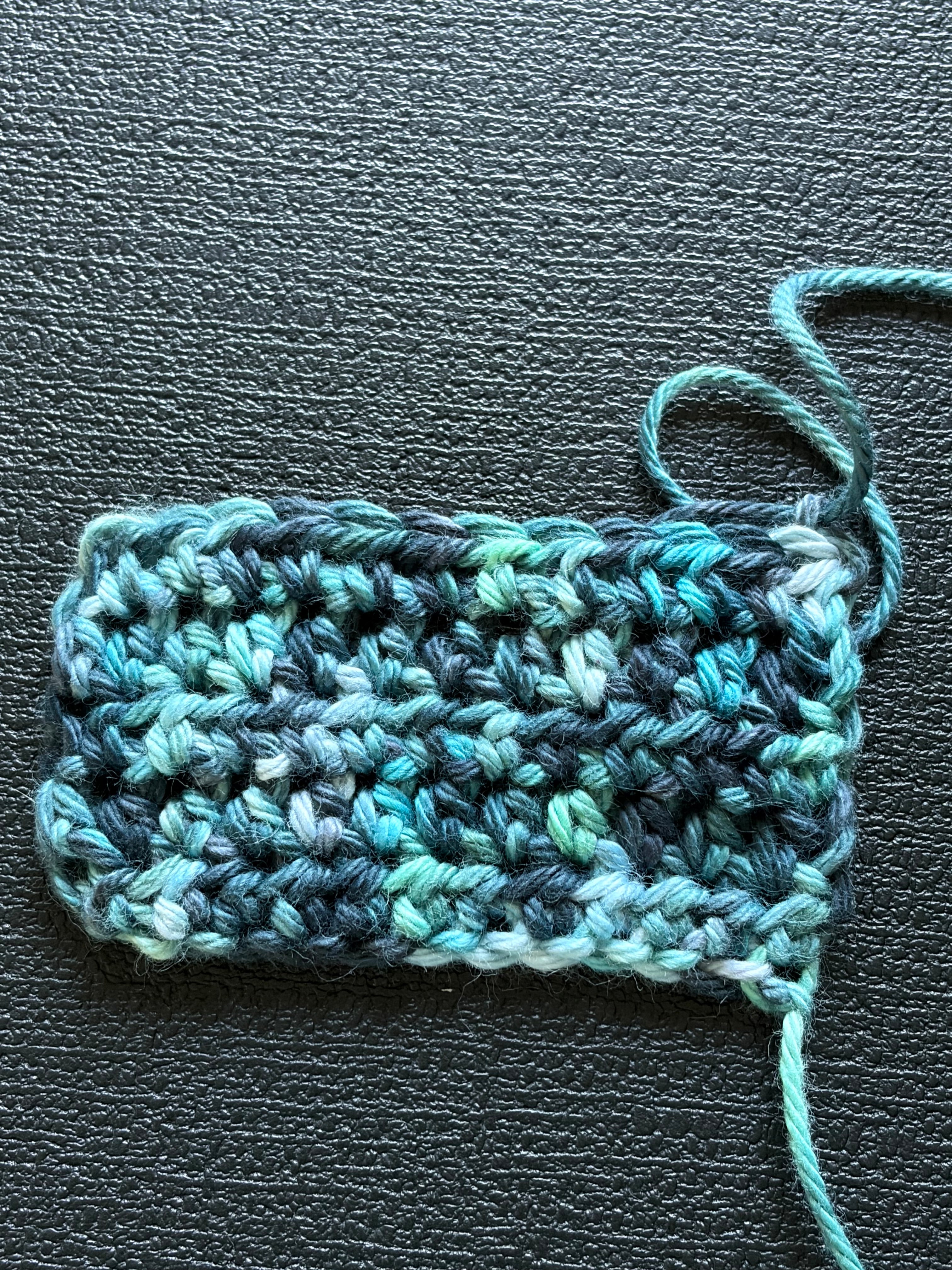 cunning serpent yarn – hand-dyed variegated green, grey & black skein for knitting & crochet